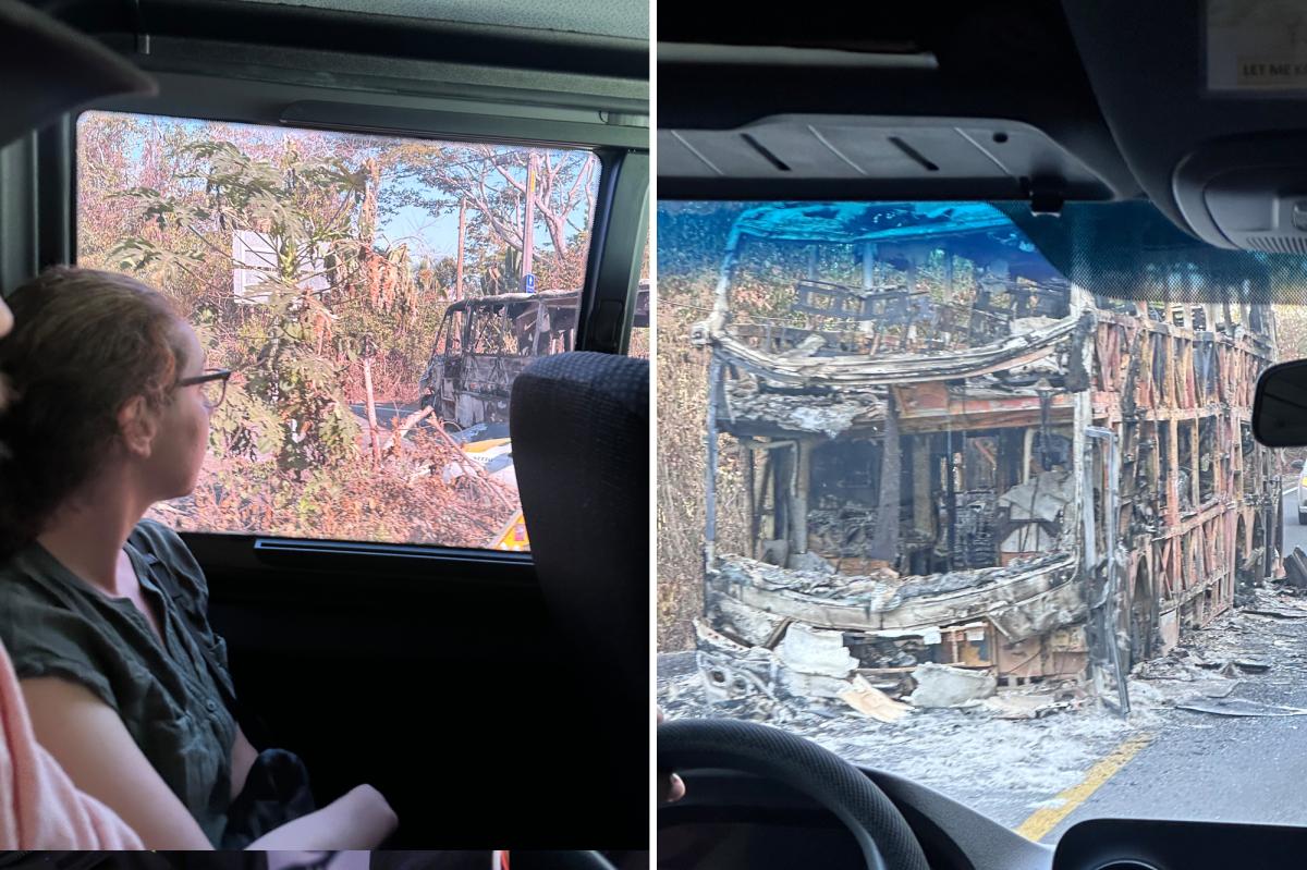 Americans stranded in Puerto Vallarta describe city’s destruction as they flee cartel violence